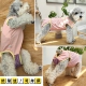 泰迪比熊犬生理裤 纯棉小花可排尿薄月经期衣服 防骚扰母狗狗姨妈裤