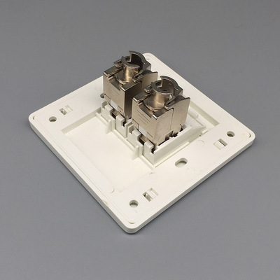 86型双口超六类屏蔽面板 2个CAT6A模块 万兆网络插口电脑网线插座