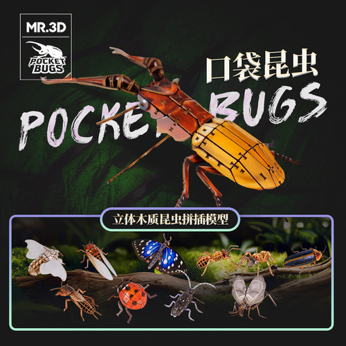 3D口袋昆虫合集创意拼图