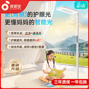孩视宝全天无死角大路灯