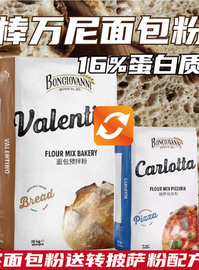 意大利进口棒万尼面包预拌粉