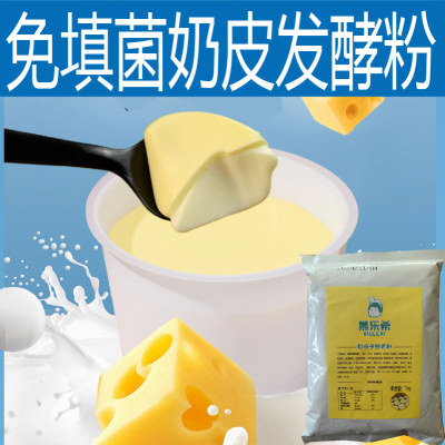琢糖奶皮子酸奶酪发酵粉紫光园