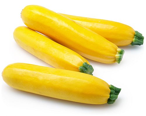 新鲜黄节瓜500g西葫芦zucchini夏南瓜意黄瓜西餐沙拉菜素食
