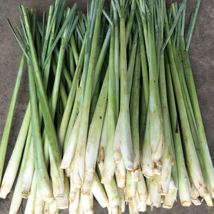 新鲜香茅草 柠檬香茅草烤鱼烤螺泰式冬阴功汤材料蔬菜500g  包邮