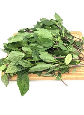 新鲜九层塔金不换泰式罗勒叶三杯鸡冬阴功香料thai basil100g 1份