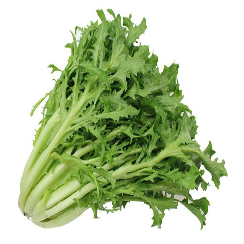 苦苣 苦菊 西餐沙拉菜250g 新鲜蔬菜 苦叶生菜有同城配送