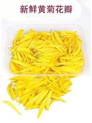 新鲜可食用黄菊花花瓣