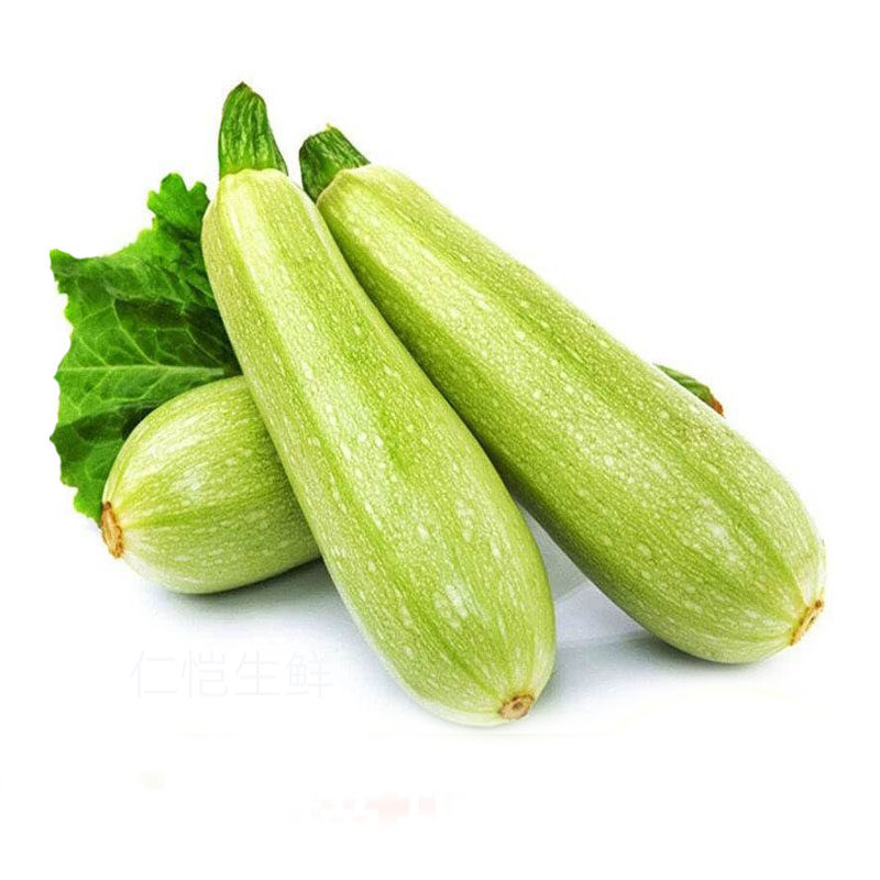 西葫芦三月瓜新鲜蔬菜角瓜小瓜茭瓜农家自种现摘现发500g