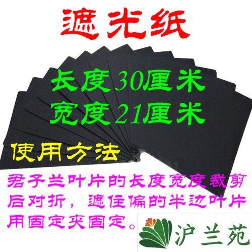 君子兰叶片遮光纸锡纸整形夹矫正线纠正器透明夹扶正带固定夹子