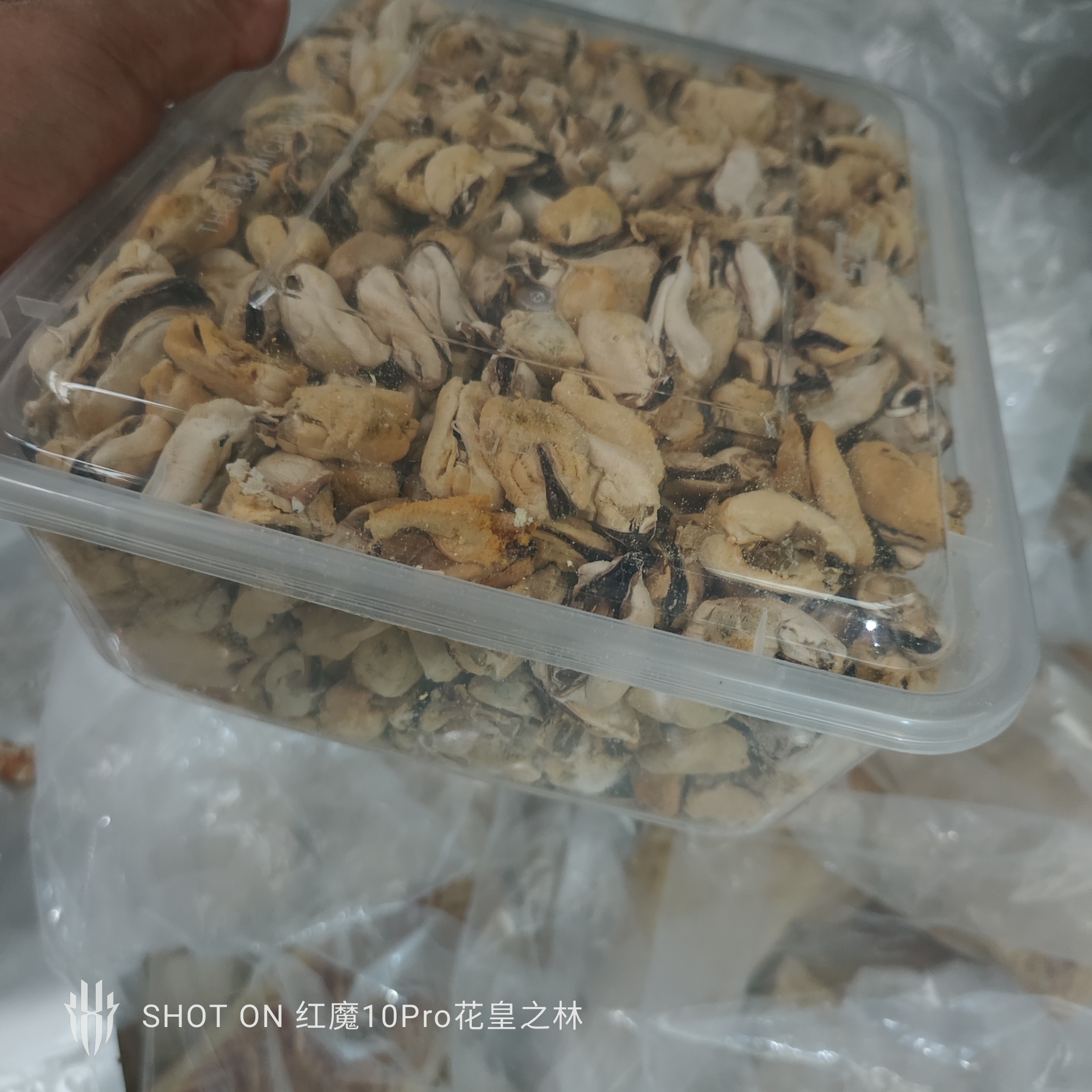 宠物猫咪零食冻干青口贝冻干贻贝