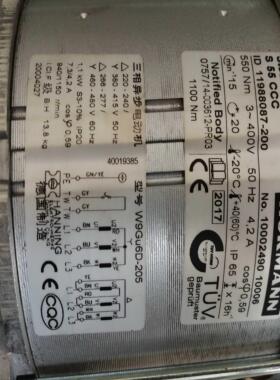 霍曼HORMANN电机W9Gu6D 10002490-10006A445电机445R电机