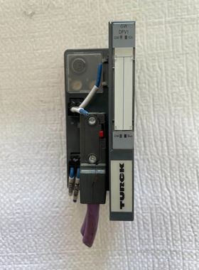 TURCK ／图尔克 BL20- GW -DPV1 接口模块