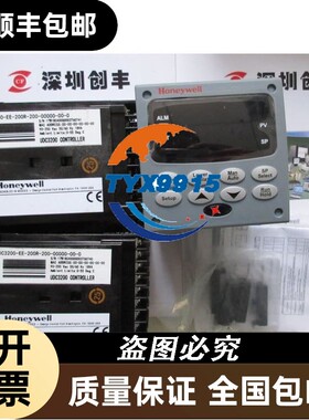 2024年温控器DC3200-EE-200R-200-00000-00-0