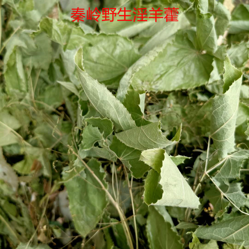 中国秦岭野生淫羊藿500g精品成年男性滋补正品中药材整棵包邮