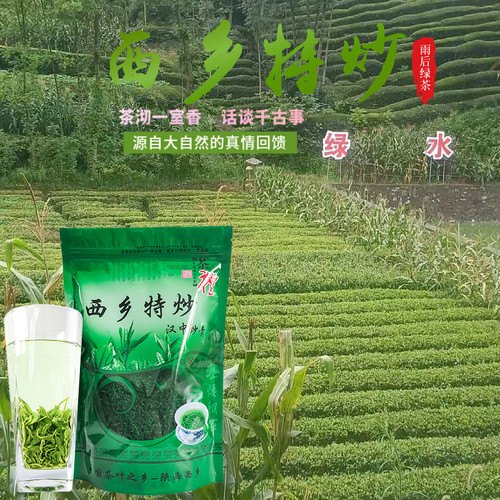 耐泡西乡绿茶厂家自产自销