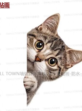 可爱猫咪图案贴画趴门猫咪装饰贴