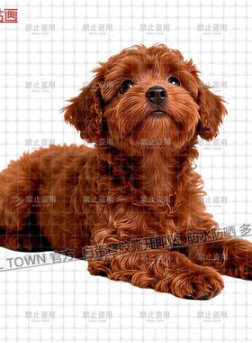 新款泰迪犬贴画狗狗图案自粘墙贴