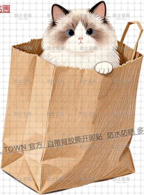网红新款袋子里的小猫图案自粘贴