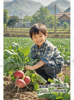 乡村风格可爱小孩菜地拔萝卜