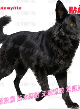 黑色中华田园犬防水贴纸