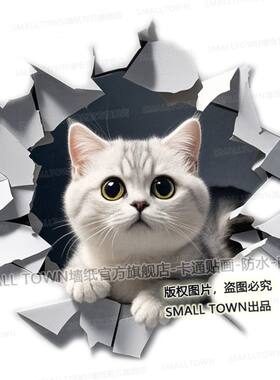 新款银渐层猫咪贴画动物图案3d立体效果装饰自粘贴画宠物店贴纸