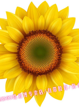 新款仿真向日葵贴画汽车冰箱马桶