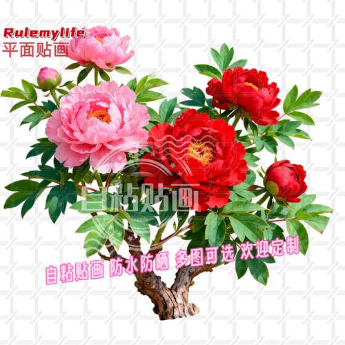 国色牡丹花吉祥繁荣昌盛平面自贴