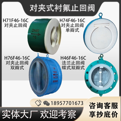 衬氟对夹止回阀单瓣双瓣H71F46