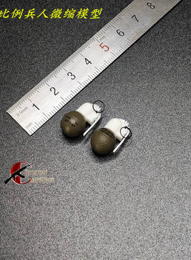 森哥 DAMTOYS 1/6 DAM78097 俄罗斯MVD SOBR小组 手雷模型 现货