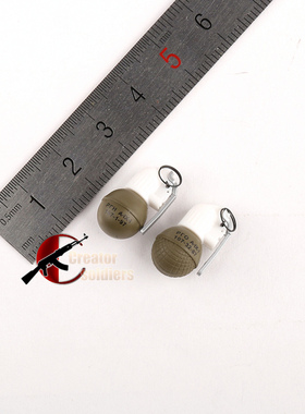 森哥 DAMTOYS  1/6 78075 俄罗斯SSO特种部队 手雷模型 一对现货