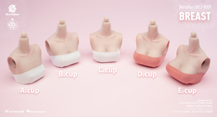 Worldbox 耐操 1/6比例 女素体 大胸件 胸型配件 现货