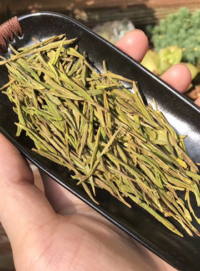 萌岩浙江安吉白茶黄金芽明前
