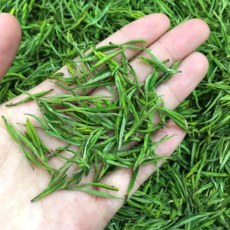萌岩茶业 浙江安吉白茶明前茶叶2023年雨前绿茶春茶新茶500克包邮