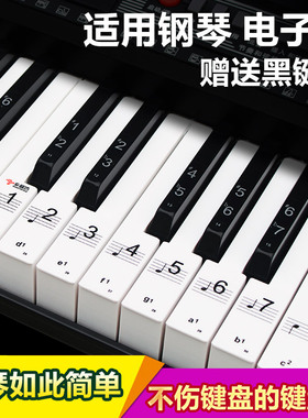 促销送黑键贴 88键 61键透明五线谱简谱琴键贴纸钢琴电子琴键盘贴