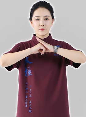 陈正雷太极拳纯棉长短袖体恤衫男女同款藏蓝色枣红武术服练功恋拳