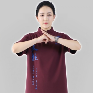 陈正雷太极拳纯棉长短袖体恤衫男女同款藏蓝色枣红武术服练功恋拳