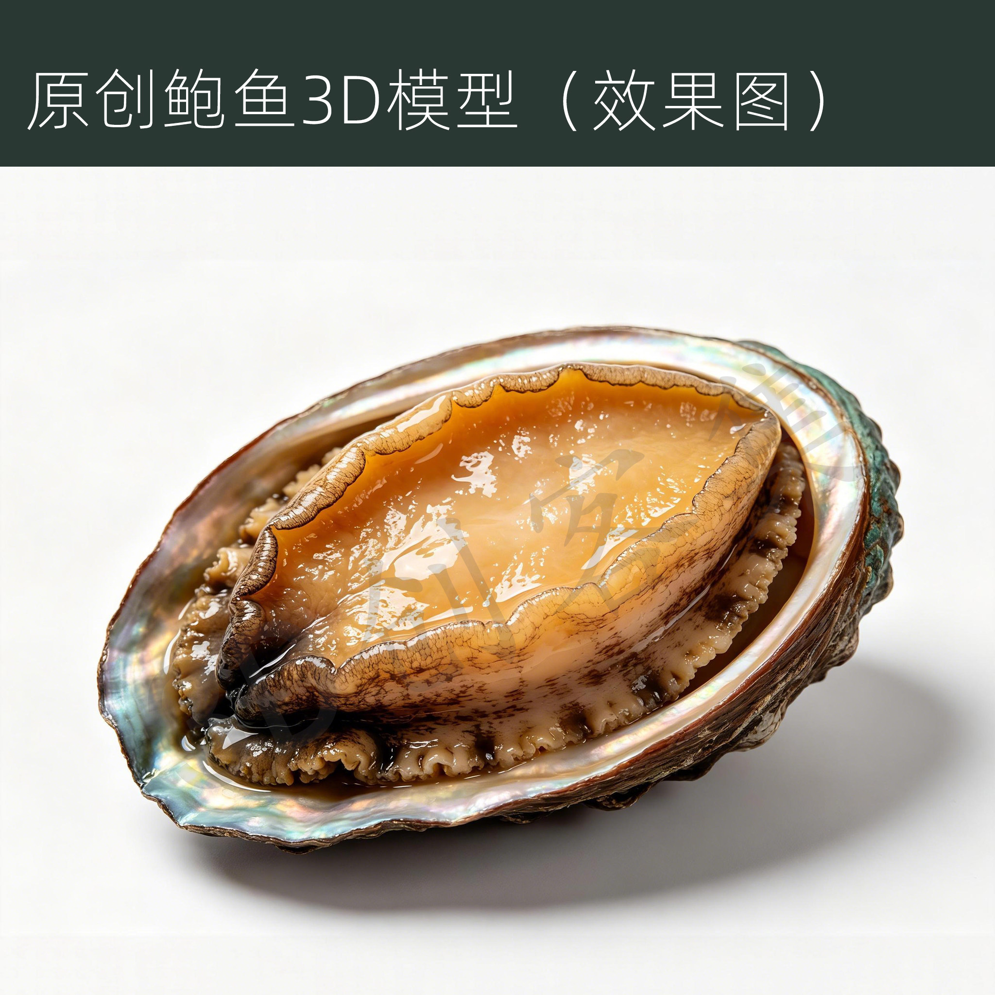 原创鲍鱼3D打印数据stl高精度
