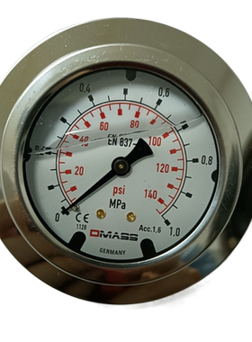 压力表德国DMASS德玛仕EN837-1MBB06U-010-1-Z 1mpa油压表 液压表