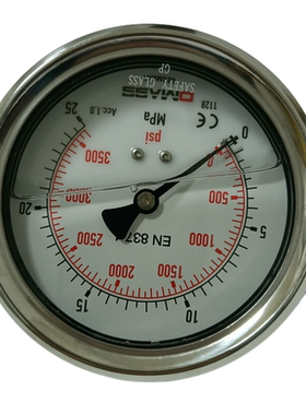 压力表DMASS德国EN837-1 MBB10U-250-1-ZZZ 100盘 轴向 德玛仕