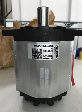 原装意大利Settima螺杆泵 螺旋泵 注塑机 油压机油泵G55C063FSBA