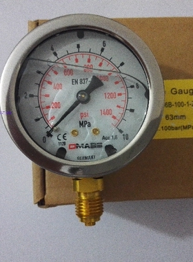 压力表进口DMASS德玛仕EN837-1德国MBB06B-100-1 63表面径向10MPA