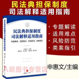 专题解读适用难点风险防范类案指引 申惠文 担保理论实务司法适用法官律师指引书籍 现货2021民法典担保制度司法解释适用指南 正版