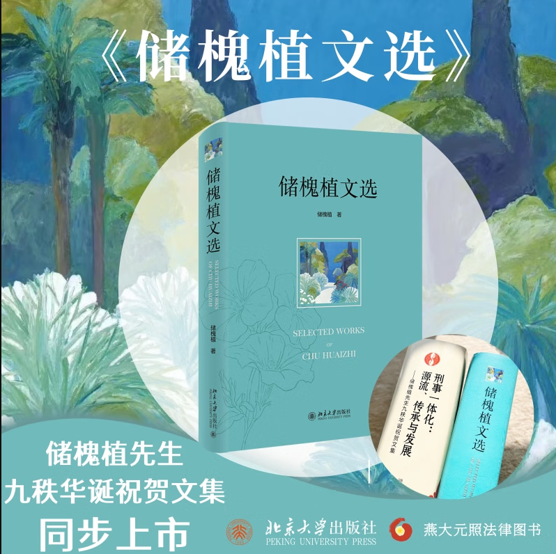 现货正版 储槐植文选 北京大学出版社 刑事一体化与关系刑法论刑事