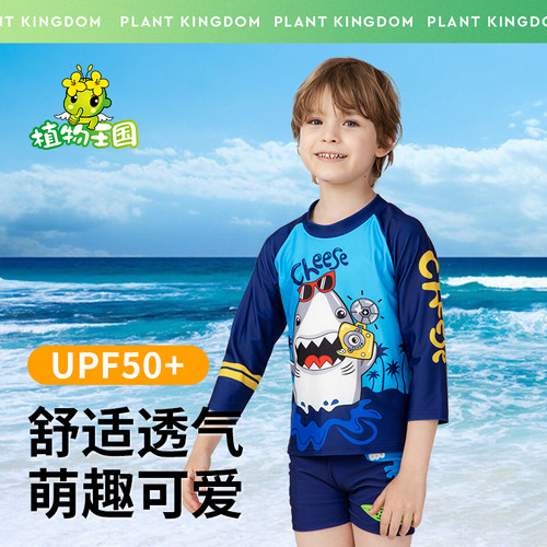 植物王国夏季防晒清凉泳衣儿童宝宝弹力游泳裤泳衣泳裤套装D