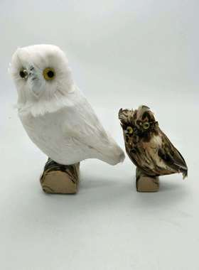 哈利波特仿真摆件白色棕色猫头鹰，有大小号，真羽毛制作