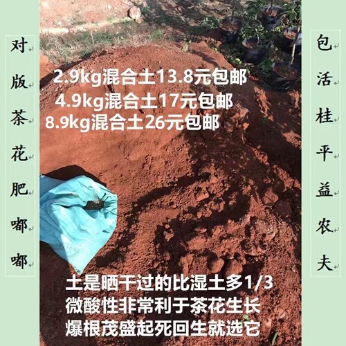 干土庭院盆栽土益农夫