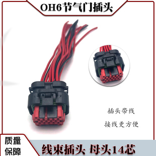 厂家直销 插头线束配件 OH6节气门插头线束 十四芯母头带线插头