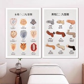 饰画医美月子馆产康墙画 男女性私密保养装 多款 生殖九型艺术挂画