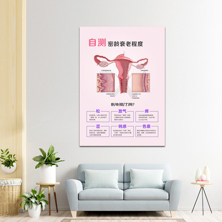 密龄衰老自测宣传挂画 产科月子中心装饰画美容院生殖保养墙壁画