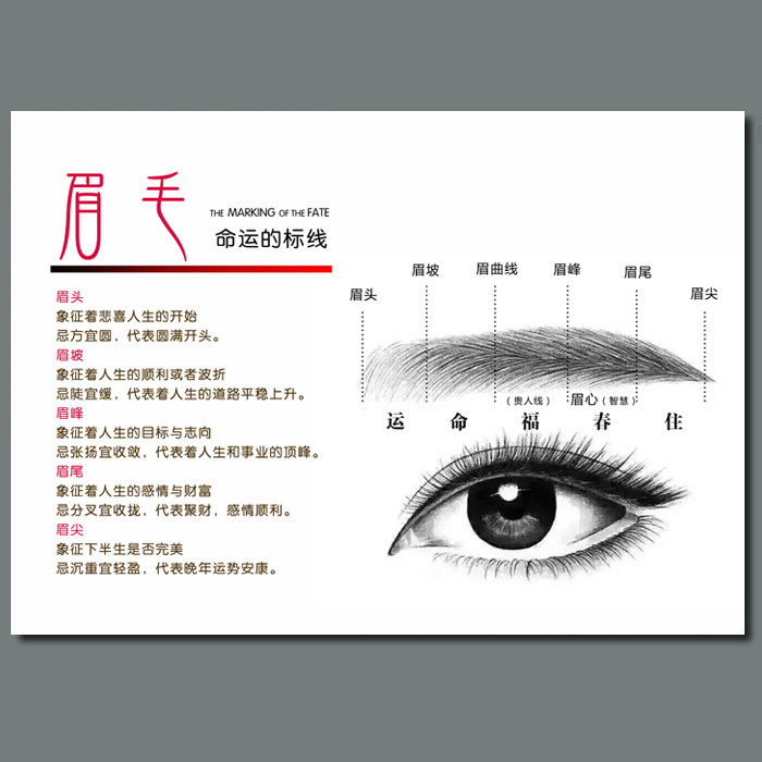 多款韩式半永久定妆装饰画 微整形美容挂画纹绣海报眉毛运势墙画